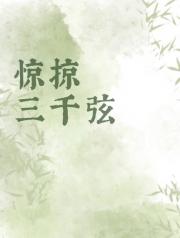 惊掠三千弦