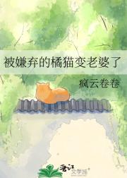 被嫌弃的橘猫变老婆了