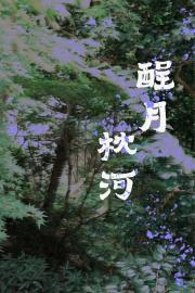 酲月枕河