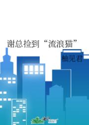 谢总捡到“流浪猫”