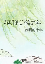 苏明的逆流之年