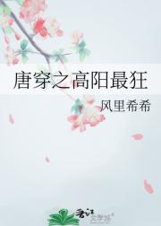 唐穿之高阳最狂