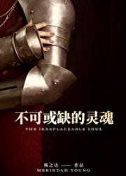 不可或缺的灵魂 [西幻]