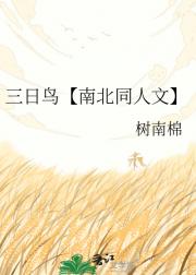 三日鸟【南北同人文】