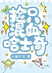 捡只混血哈士奇