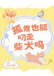 [排球少年]狐狸也能叼走柴犬吗
