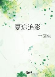 夏途追影