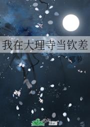 我在大理寺当钦差