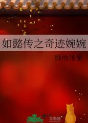 如懿传之奇迹婉婉