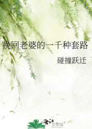 挽回老婆的一千种套路