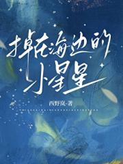 掉在海边的小星星
