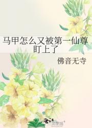 马甲怎么又被第一仙尊盯上了