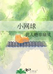 小网球