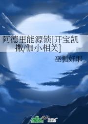 阿德里能源锁[开宝凯撒/伽小相关]