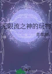 无限流之神的玩物