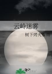 云岭迷雾