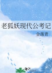 老狐妖现代公考记
