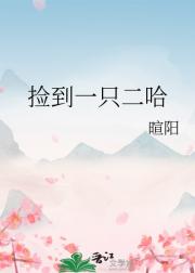 捡到一只二哈