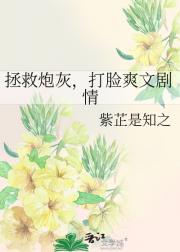拯救炮灰，打脸爽文剧情