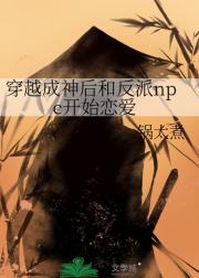 穿越成神后和反派npc开始恋爱