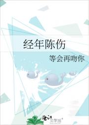 经年陈伤