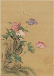 忠犬将军总想我死