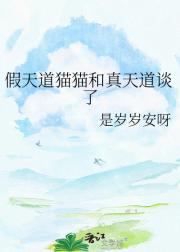 假天道猫猫和真天道谈了