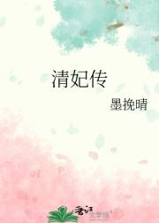 清妃传