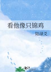看他像只锦鸡