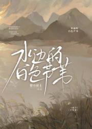 水边的白色芦苇