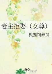 妻主拒娶（女尊）