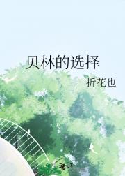 贝林的选择