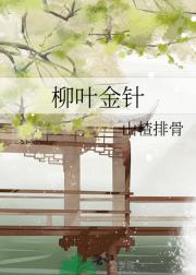 柳叶金针