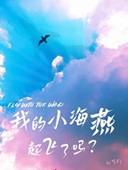 我的小海燕起飞了吗？