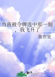 当我被令牌选中那一刻，我飞升了