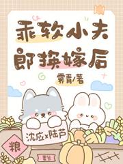 乖软小夫郎换嫁后