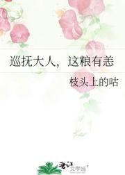 巡抚大人，这粮有恙