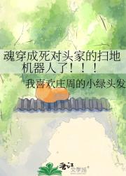 魂穿成死对头家的扫地机器人了！！！