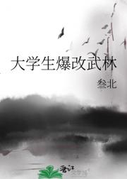 大学生爆改武林