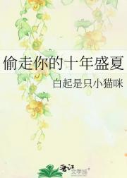 偷走你的十年盛夏