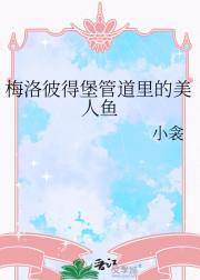 梅洛彼得堡管道里的美人鱼