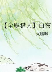 【全职猎人】白夜