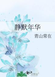 静默年华
