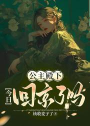 公主殿下今日回京了吗