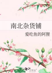 南北杂货铺