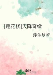 ［莲花楼］天降奇缘