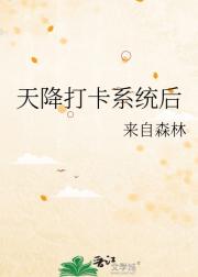 天降打卡系统后