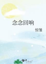 念念回响