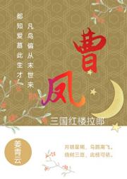 [三国红楼拉郎]曹丞相与凤辣子