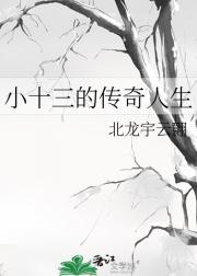 小十三的传奇人生